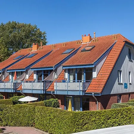 Papillon 02-1 Boltenhagen (Ostseebad)