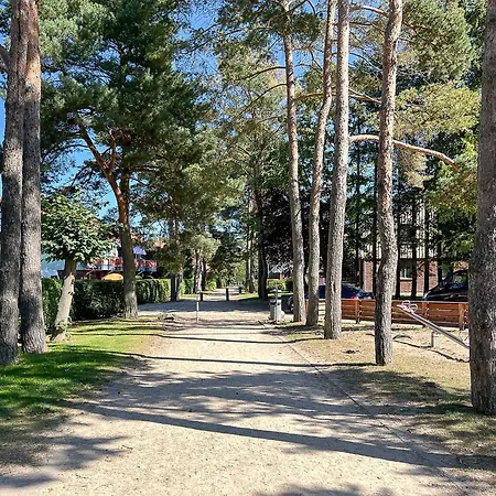 Papillon 02-1 Appartamento *